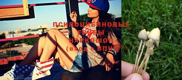 эйфоретик Зерноград