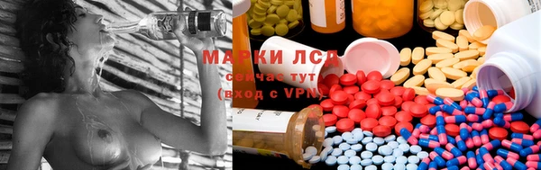прущие крисы Зеленодольск