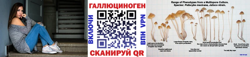 Галлюциногенные грибы мухоморы  Купить закладки  Ульяновск 