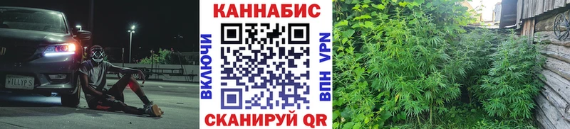 Купить закладки  Ульяновск  Конопля план 